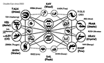 Double-Eye-Complex-2003.gif