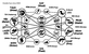 Double-Eye-Complex-2003.gif